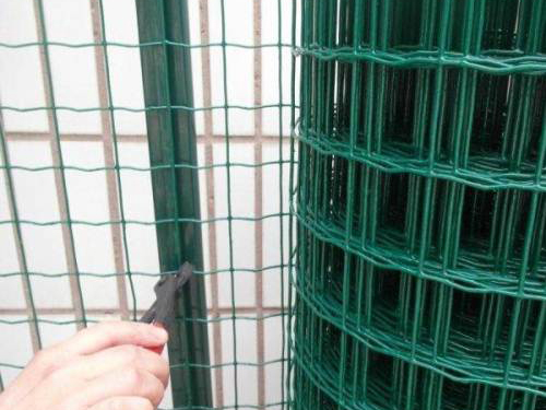 围栏荷兰网3 围栏荷兰网3
